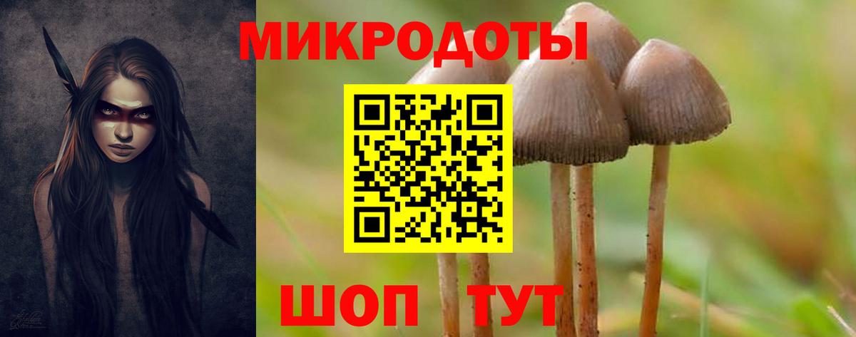 Галлюциногенные грибы Psilocybine cubensis  Галлюциногенные грибы мухоморы  Сосновоборск 